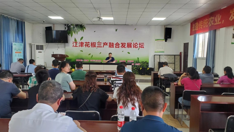 XVTC_1656919518169086323.jpg 3.jpg