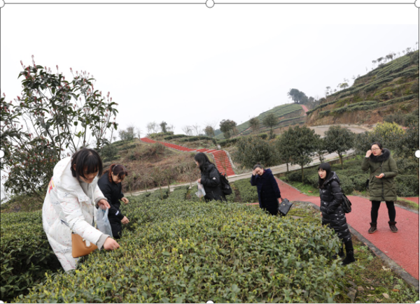 1554111199100030893.png image.png