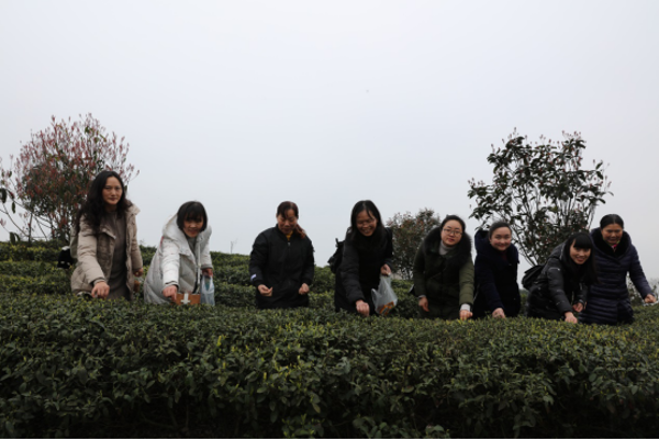 1554111443295098314.png image.png